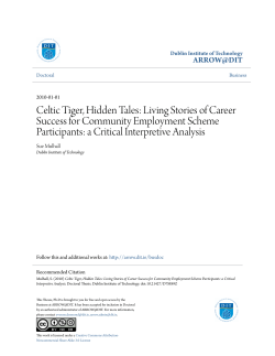 Celtic Tiger, Hidden Tales: Living Stories of Career Success for