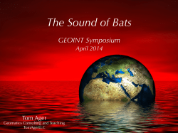 The Sound of Bats