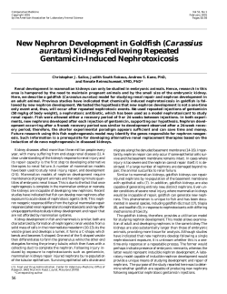 New Nephron Development in Goldfish (Carassius auratus) Kidneys