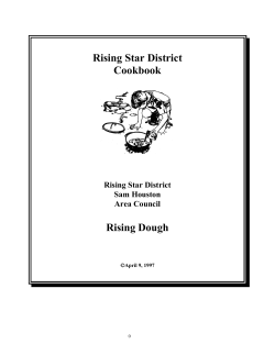 Rising Star District Cookbook