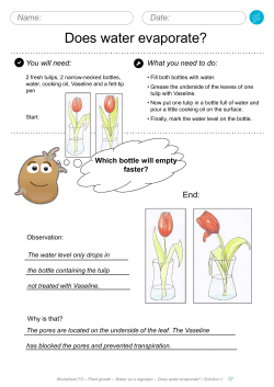 Does water evaporate?