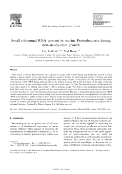 Small ribosomal RNA content in marine Proteobacteria during non