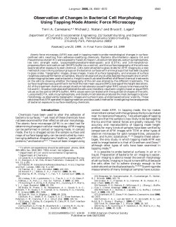 Observation of Changes in Bacterial Cell Morphology Using