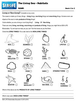 living things, non-living things and once-living
