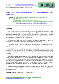 Hallazgo de un hemop&aacute;rasito eritroc&iacute;tico tipo Cytauxzoon en Felis