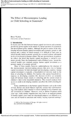 The Effect of Microenterprise Lending