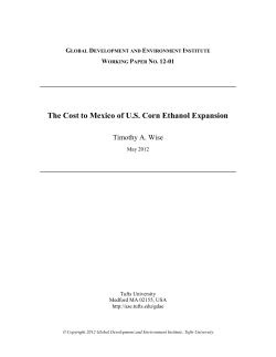 The Cost to Mexico of US Corn Ethanol Expansion