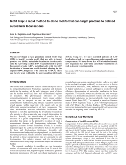 Identification of protein targeting motifs