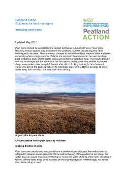 Blocking ditches with peat dams