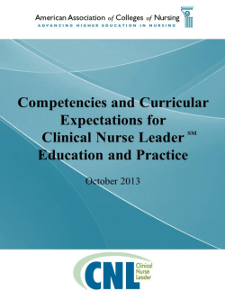 Clinical Nurse Leader Competencies