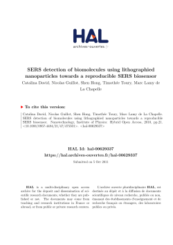 SERS detection of biomolecules using lithographied