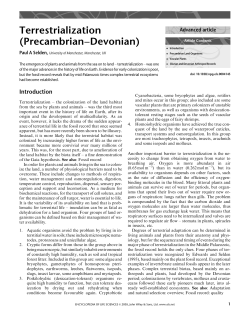 Terrestrialization (Precambrian&ndash;Devonian)