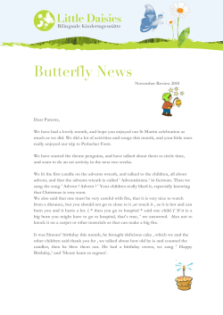 Butterfly News - littledaisies.com
