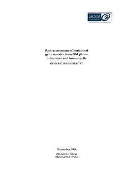 Risk assessment of horizontal gene transfer from GM plants to