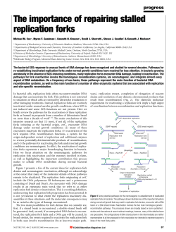 The importance of repairing stalled replication forks