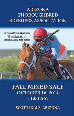 fall mixed sale