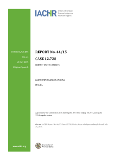 merits report - Organization of American States