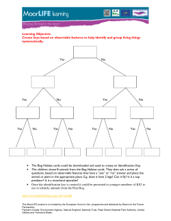 Learning Objective: Create keys based on observable features to