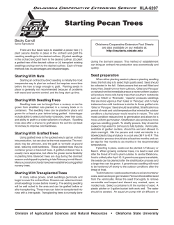 Starting Pecan Trees - OSU Fact Sheets