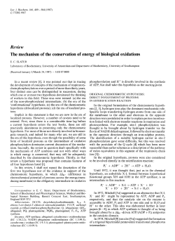 The mechanism of the conservation of energy of biological oxidations