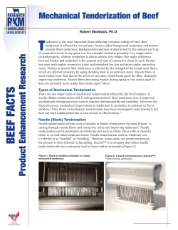 Mechanical Tenderization of Beef