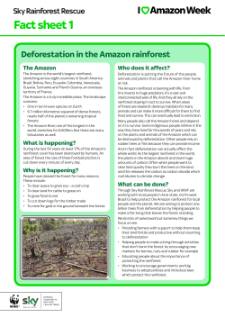 Fact sheet 1 - Sky Rainforest Rescue