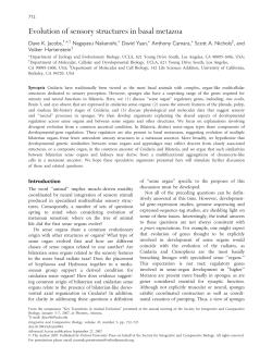 Evolution of sensory structures in basal metazoa