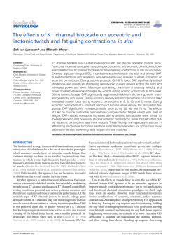 The effects of K channel blockade on eccentric and isotonic twitch
