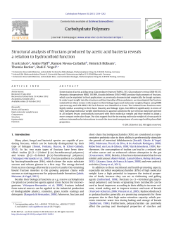 Structural analysis of fructans produced by acetic acid bacteria