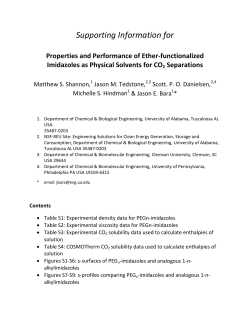 Supporting Information for