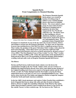 Spanish Barbs From Conquistadors to Mounted Shooting