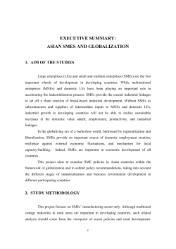 EXECUTIVE SUMMARY: ASIAN SMES AND GLOBALIZATION