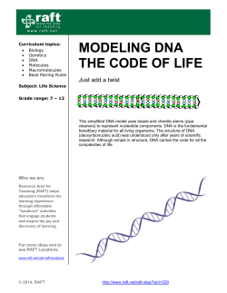 Modeling DNA