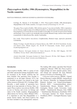 Platyceraphron Kieffer, 1906 (Hymenoptera, Megaspilidae) in the