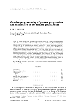 Ovarian programming of gamete progression and maturation in the