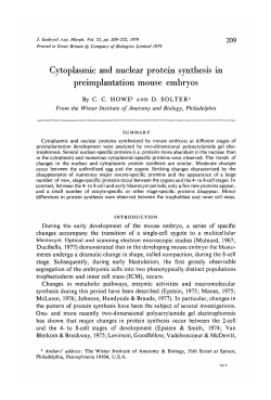 Cytoplasmic and nuclear protein synthesis in