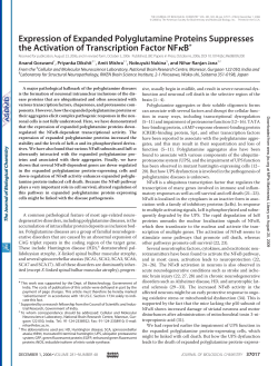 Expression of Expanded Polyglutamine Proteins Suppresses the