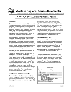 Phytoplankton and recreational ponds