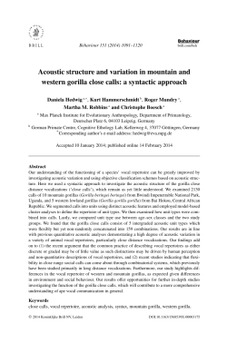 Acoustic structure and variation in mountain and western gorilla