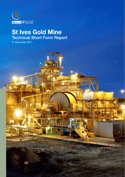 St Ives Gold Mine Technical Short Form Report
