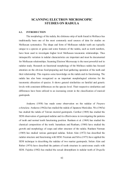 12_chapter 6