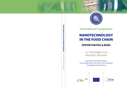 NANOTECHNOLOGY IN THE FOOD CHAIN