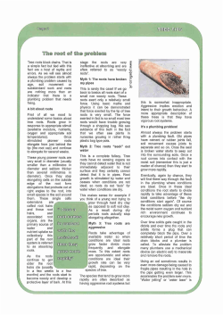 Myths about tree roots