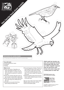 Hen harrier food chain mobile