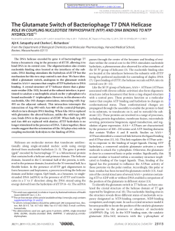The Glutamate Switch of Bacteriophage T7 DNA Helicase