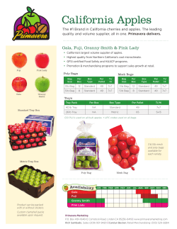 to Primavera`s Apple Sales Sheet
