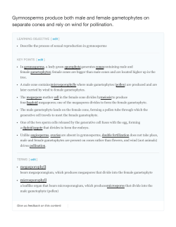 Gymnosperms produce both male and female
