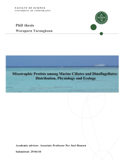 Mixotrophic Protists among Marine Ciliates and Dinoflagellates