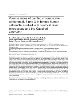 Volume ratios of painted chromosome territories 5, 7 and X in female