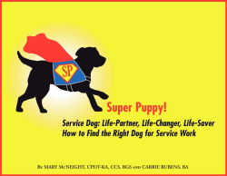 Super Puppy - Service Dog Academy